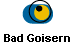  Bad Goisern 